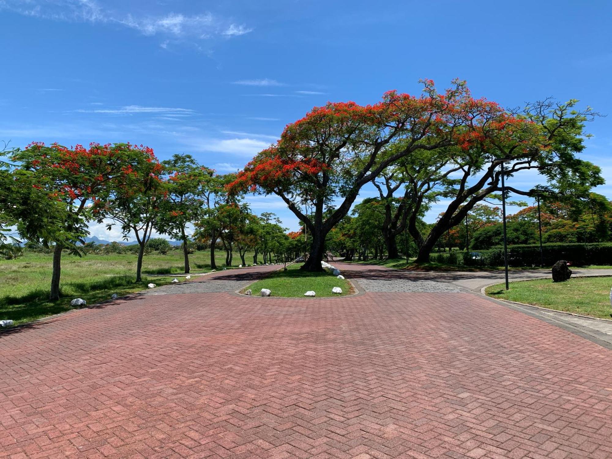 Palm Creek Villa 蒙舒瓦西 外观 照片